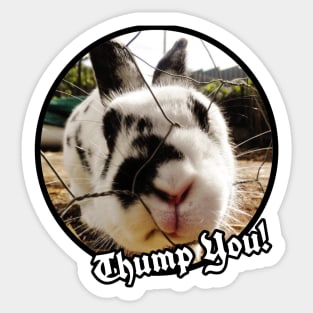 Thump You! Bunny Rabbit Sticker